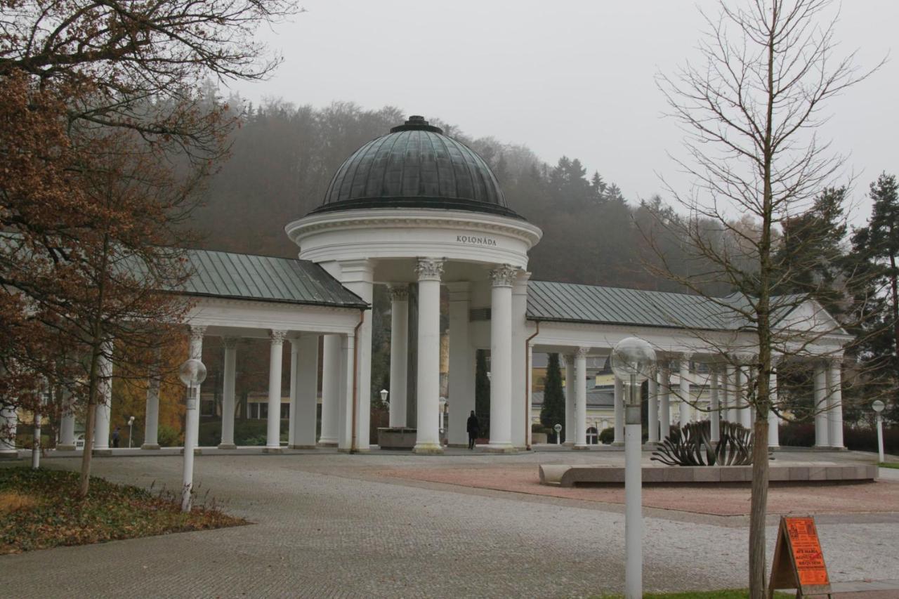 Apartman Karlovarska Marianske Lazne Exterior photo